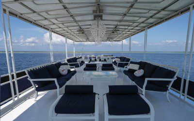 Q&A: Out of the Blue Excursions